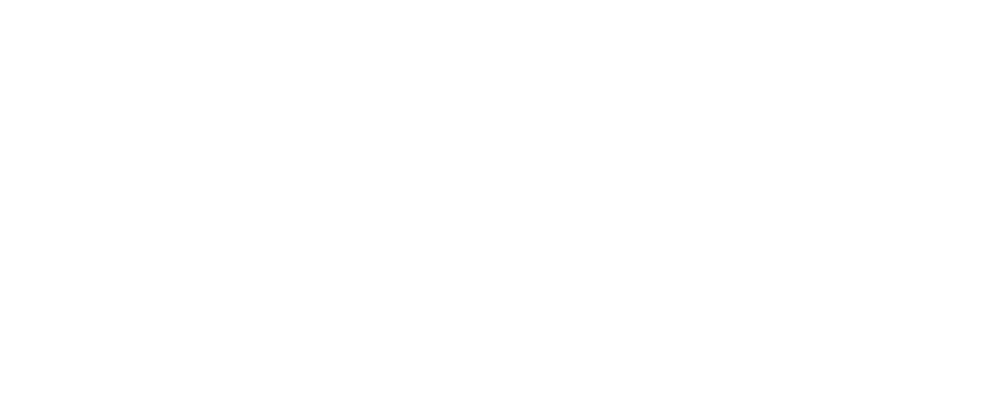 Salon V43